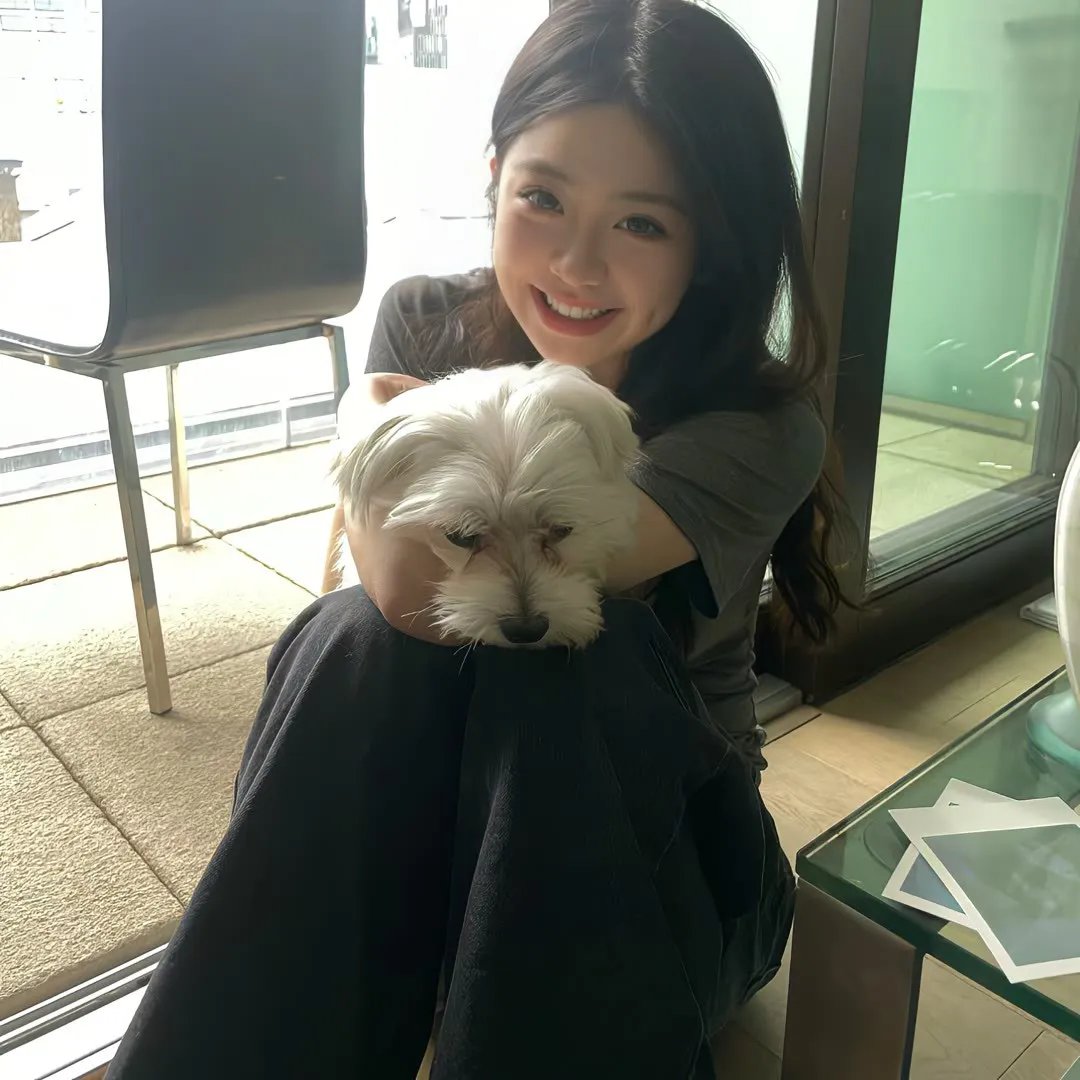 白莲花